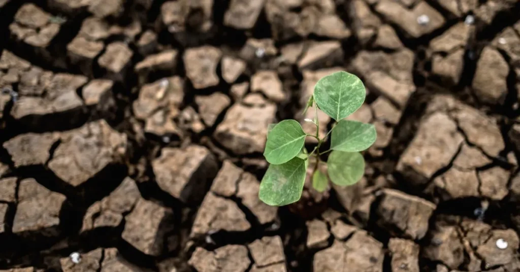 drought restrictions