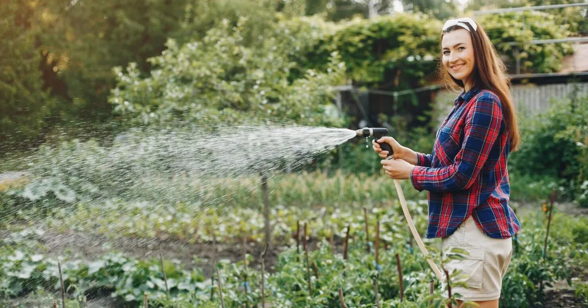 garden watering efficiently