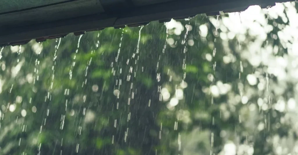 rainwater harvesting