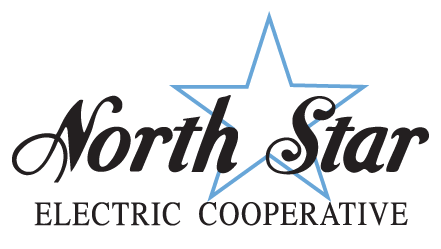 North Star Electric Coop Inc [UBS AG]