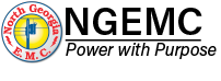 North Georgia Elec Member Corp