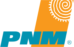 Public Service Co of NM